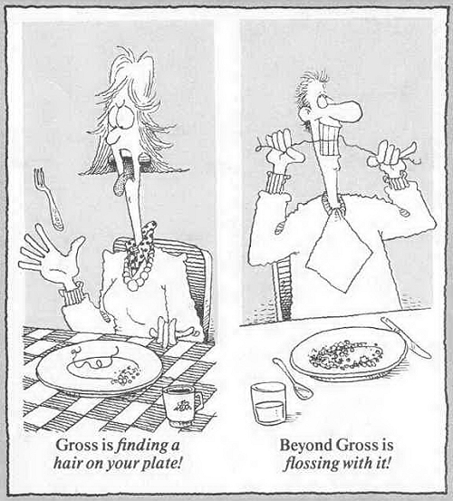 Gross and Beyond Gross